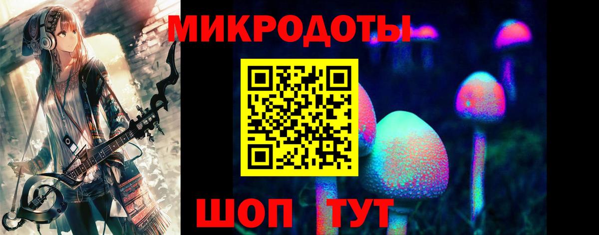 Псилоцибиновые грибы мицелий  наркотики  Бузулук  Галлюциногенные грибы GOLDEN TEACHER 